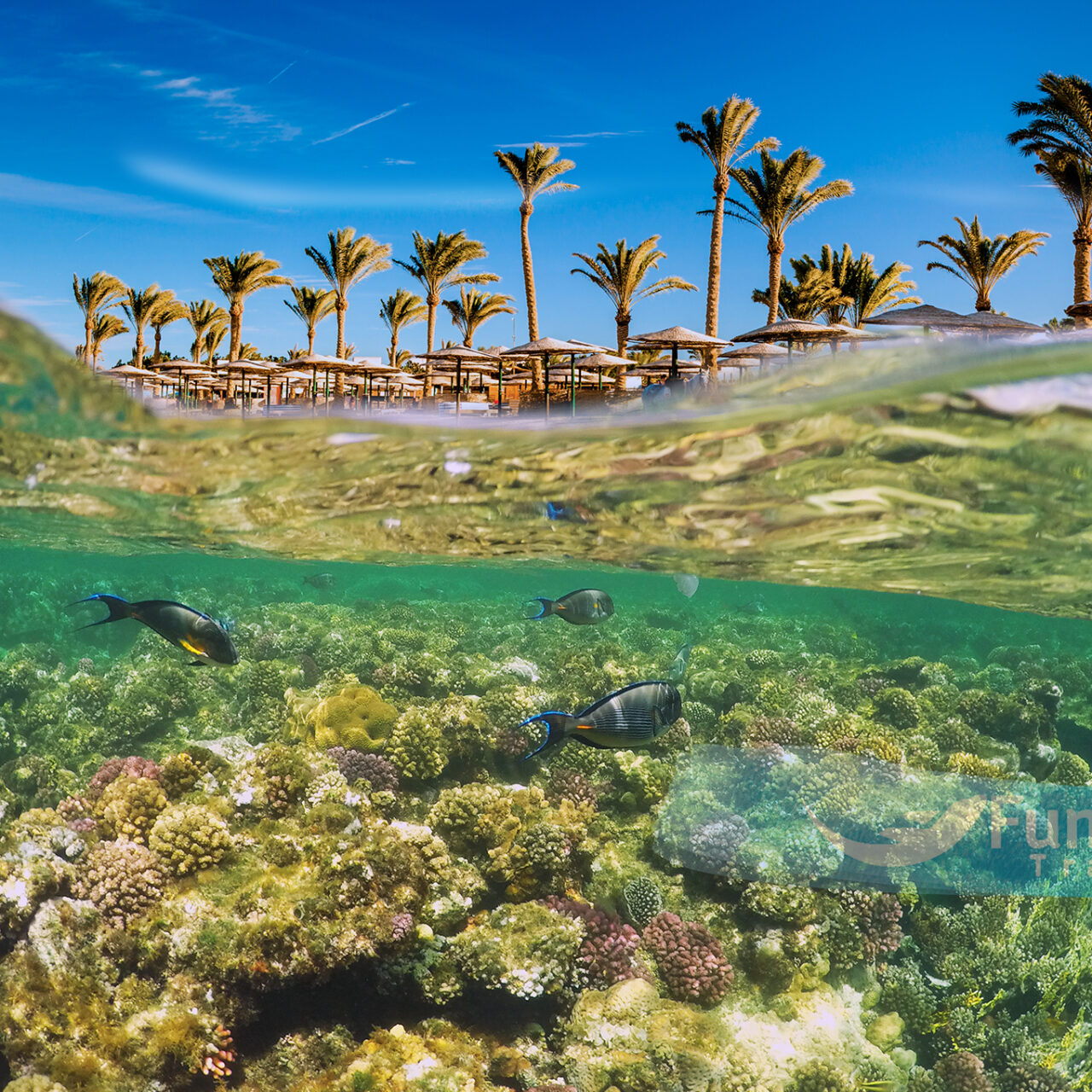 Explore Egypt's Architectural Wonders