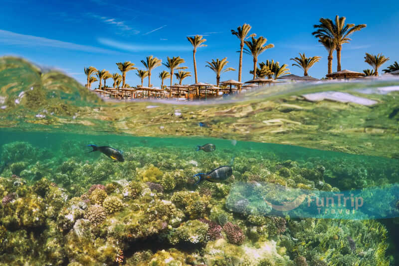 Explore Egypt's Architectural Wonders