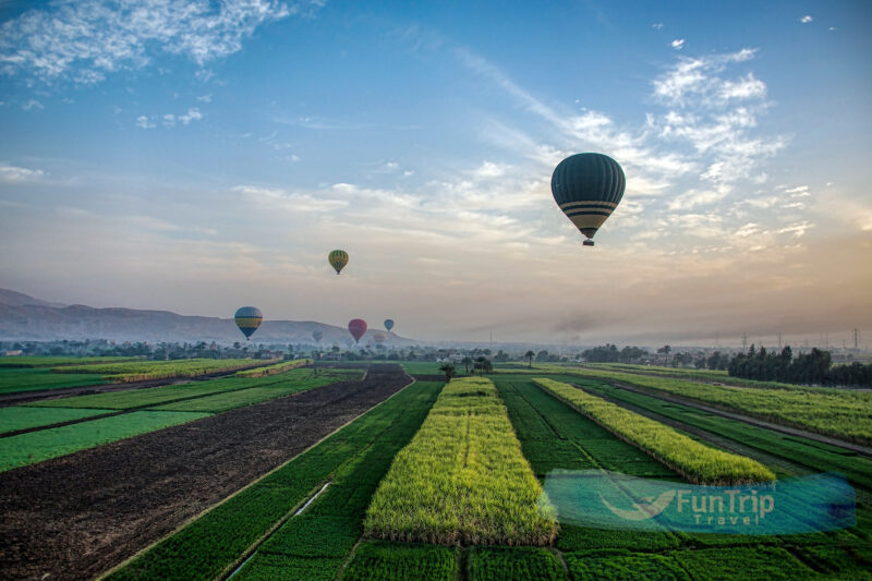 Discover The Artistry Of Ancient Egypt