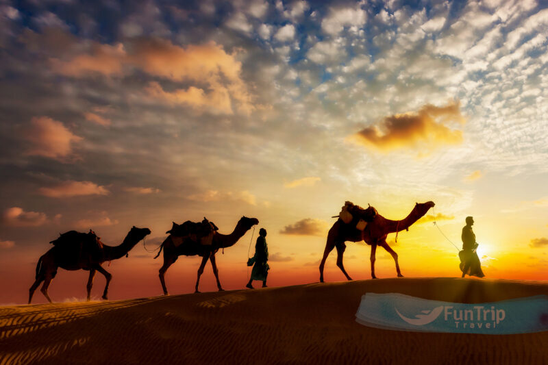 Unearth the Treasures of Sinai's