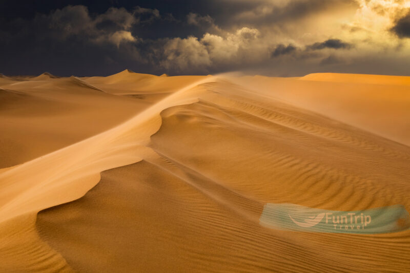 Siwa Is Your Gate To Therapy